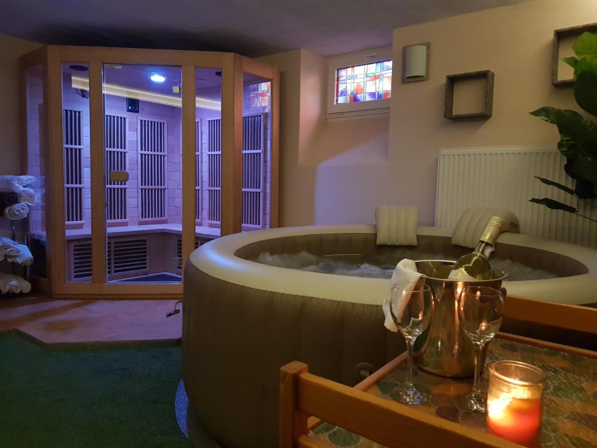 Vila Nejdek - Erzgebirge Aparthotel Luaran gambar