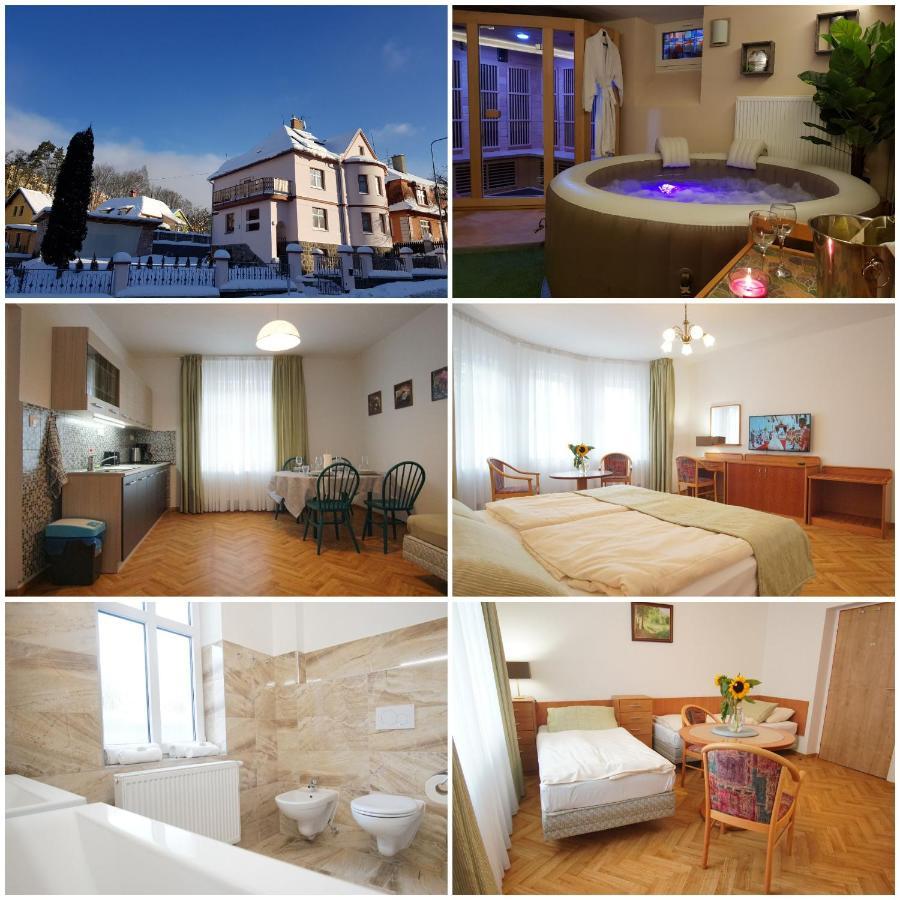 Vila Nejdek - Erzgebirge Aparthotel Luaran gambar